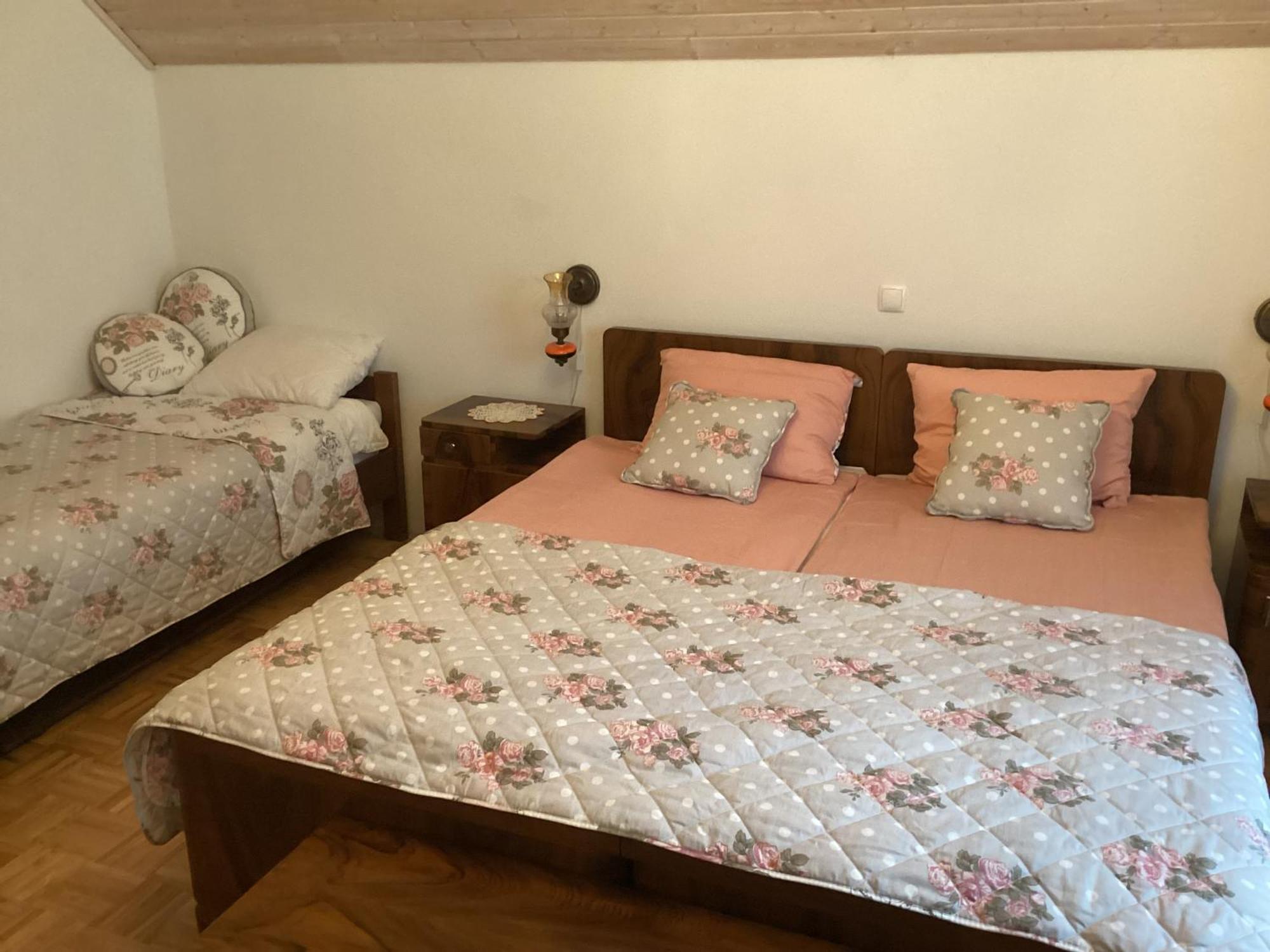 Appartamento Pr' Grogori Zelezniki Esterno foto